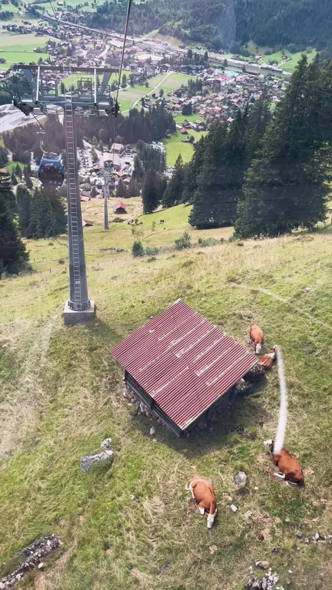 Experience a breathtaking and scenic mountain view while enjoying a thrilling Stock Footage 307487371