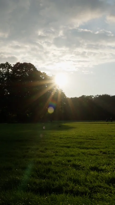 Experience the breathtaking and stunning sunset over a lush, vibrant green field Stock Footage 318896814