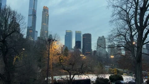 Experience the breathtaking Central Park Skyline View at Dusk 스톡 동영상 291512644