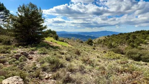 Experience breathtaking mountain views surrounded by lush greenery and a vi.. Stock Photos