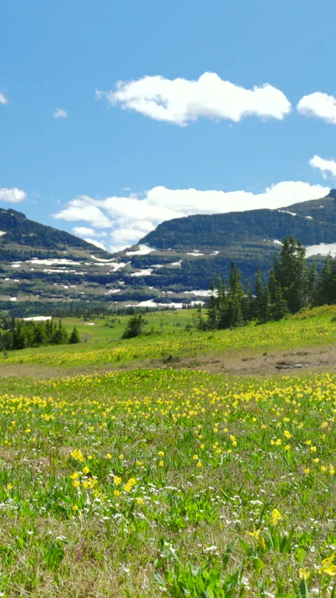 Experience the breathtaking scenic views of Glacier National Park located in Vídeos de archivo 315616909