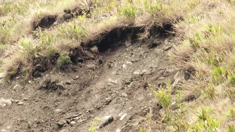 Experience a breathtaking slow motion tracking shot of a massive earthquake Stock Footage 128450874