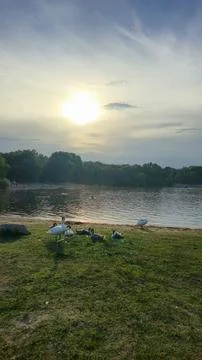 Experience the breathtaking tranquility of a beautiful sunset at the lakeside Stock Photos
