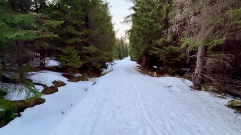 Experience the Charming Winter Trail that meanders through a stunning, Snow.. Stock Photos