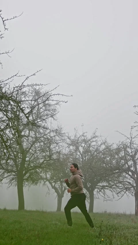 Experience the Dynamic Movement in a Beautiful, Misty Orchard Filled with Life Stock Footage 308864288