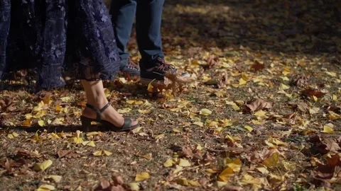 Experience Elegant Steps Among Beautiful Autumn Leaves in a Stunning Outdoor Stock Footage 291011464