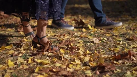 Experience Elegant Steps Among Beautiful Autumn Leaves in a Stunning Outdoor Stock Footage 314574800