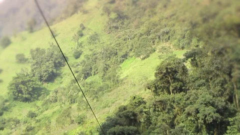 Experience the exhilarating sounds of excitement as the camera captures the Stock Footage 128431209