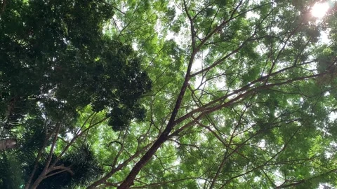 Experience Stock Footage 292340773