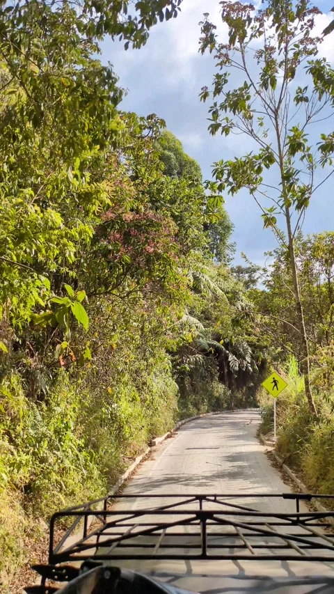 Experience the freedom of exploration through scenic concrete roads 스톡 동영상 285667100