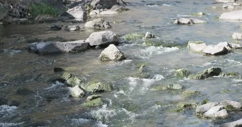 Experience the gentle grace of a mountain river in its springtime glory, as Video stock 252466283