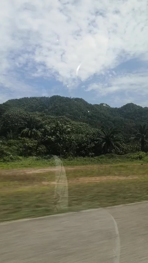 Experience the Green Forest Atmosphere of the Mountains from Your Car Stock Footage 276806965