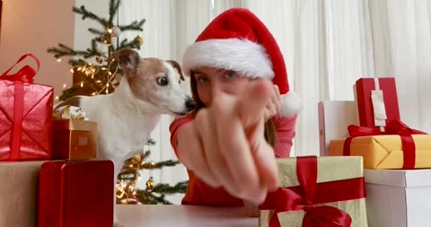 Experience the Heartwarming Festive Joy of a Dog During a Delightful Christmas Stock Footage 318282575