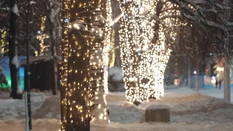Experience the magic of a winter night adorned with twinkling lights on the Stock Footage 292547846