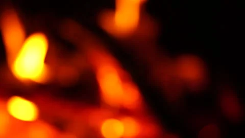 Experience the mesmerizing sight of burning wood and twigs in a campfire Stock Footage 295978107