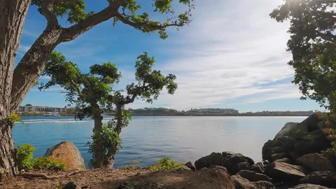 Experience a peaceful lakeside view with trees, boats, and a sunny sky on a Stock Footage 277119557