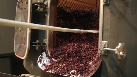 Experience the process of using wine making machinery to produce wine Stock Footage 321405311