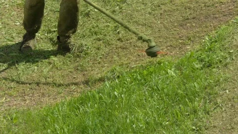 Experience Professional Grass Trimming Featuring a Weed Whacker in Full Action Stock Footage 310908605