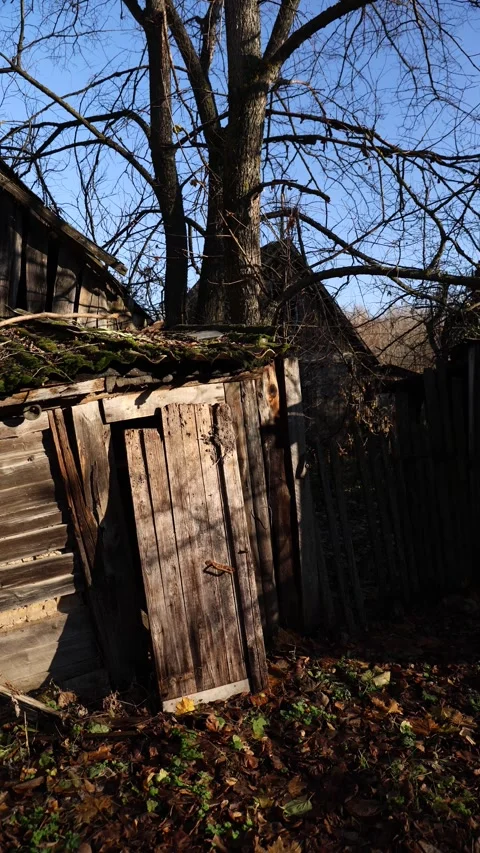 Experience a Serene Autumn Scene featuring a Rustic Fence set amidst a Leafy Stock Footage 291992281
