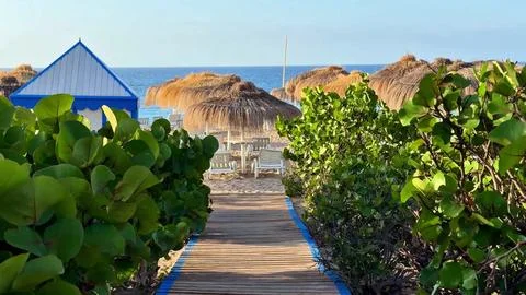 Experience the serene beach pathway with charming huts and the magnificent Stock Photos