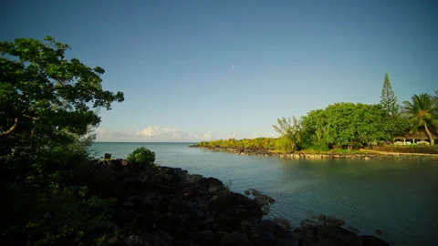 Experience a serene lake surrounded by trees and rocks, reflecting nature 動画素材 313824835