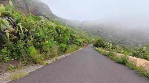Experience the Serene Mountain Road set within a mesmerizing and misty Stock Photos