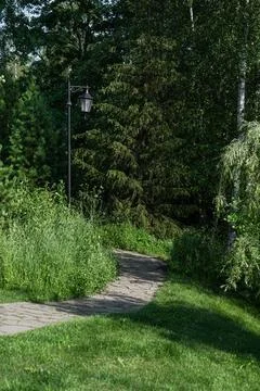 Experience a Serene Pathway That Winds Through Breathtaking Lush Greenery and Stock Photos