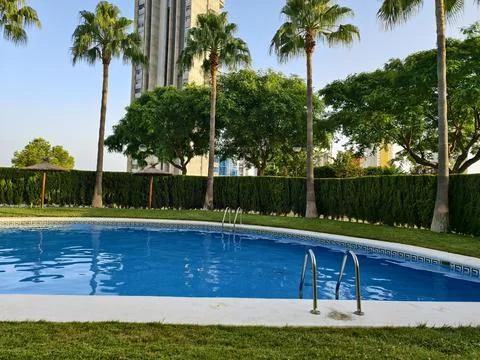 Experience the serene poolside view featuring beautiful palm trees and stun.. Фото