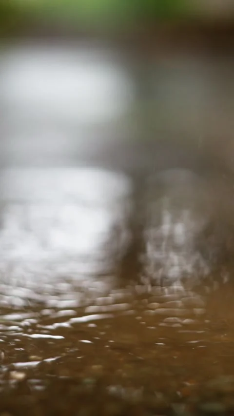 Experience the Serene Rainfall Gently Drizzling Over Calm and Peaceful Waters Video stock 316540116