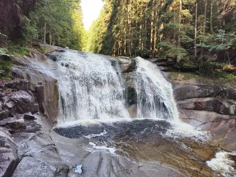 Experience a Serene Waterfall That Is Hidden Deep Within a Lush and Vibrant.. Фото