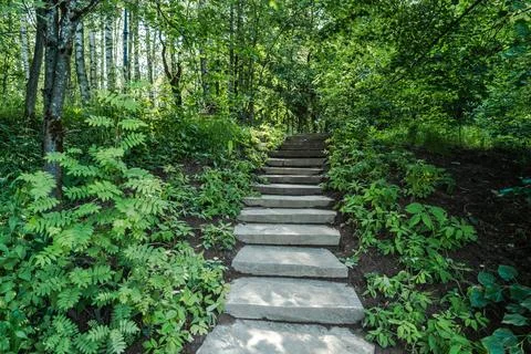 Experience the Serenity of Nature A Stone Path Meandering Through Lush Greenery Stock Photos
