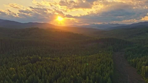 Experience the stunning beauty of a sunset casting vibrant hues over a lush Stock Footage 312621173