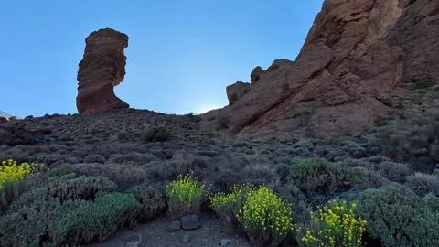 Experience stunning rock formations and vibrant desert flora at sunset for Stock Photos