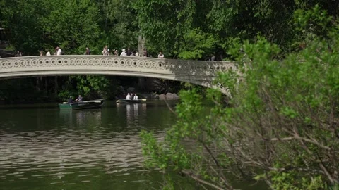 Experience a Stunning View of a Beautiful Bridge in a Lush Green Park with Stock Footage 316511808