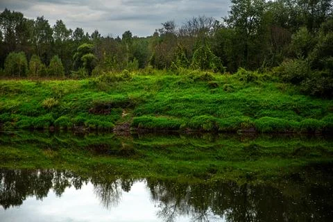 Experience a tranquil river reflection and lush green surroundings, forming a Stock Photos