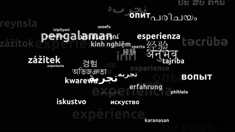 Experience Translated in 52 Worldwide Languages Endless Looping 3d Zooming Wo Stock Footage 145203892