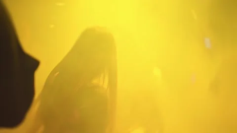 Experience the vibrant dance floor atmosphere illuminated by an array of Stock Footage 316539903