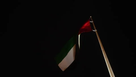 Experience a vibrant UAE flag fluttering at night, symbolizing unity Stock Footage 307932894
