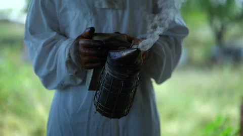 Experienced beekeeper with smoke hive tool Video stock 202222443