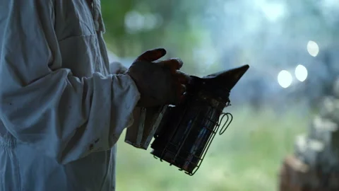 Experienced beekeeper with smoke hive tool Stock Footage 202222721