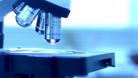 An experienced entomologist examines insect specimens under a microscope. Stock Footage 336583248