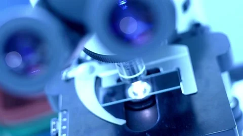 An experienced entomologist examines insect specimens under a microscope. Stock Footage 336583268