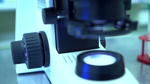 An experienced entomologist examines insect specimens under a microscope. Stock Footage 336583353