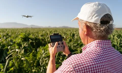 Experienced farmer flies a drone controlled by a controller and a smartphon.. Stock Photos