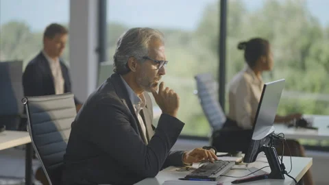 Experienced grey haired businessman working on computer. Colleagues in Stock Footage 164469783