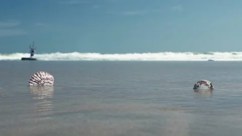 Experienced kiter practices activity on surfing board Stock Footage 142289221