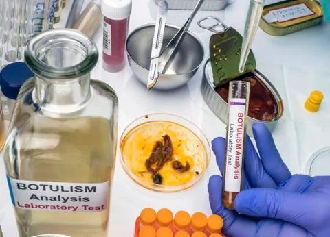 Experienced laboratory scientist analyzing a sample from a canned food can, b Stock Photos