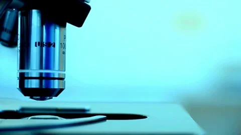 An experienced researcher observes insect cells under a microscope. 4K HD 스톡 동영상 336583200