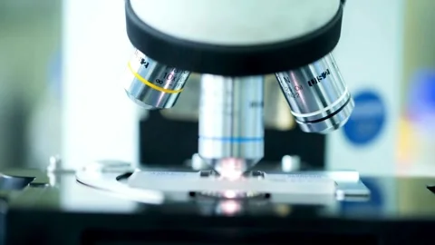 An experienced researcher observes insect cells under a microscope. 4K HD Stock Footage 336583206