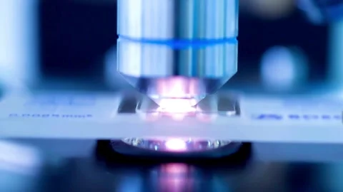 An experienced researcher observes insect cells under a microscope. 4K HD Stock Footage 336583210